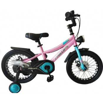 BICYCLETTE ENFANT JAD76-3 20'' AVEC DEUX ROUES STABILISATRICE ROSE