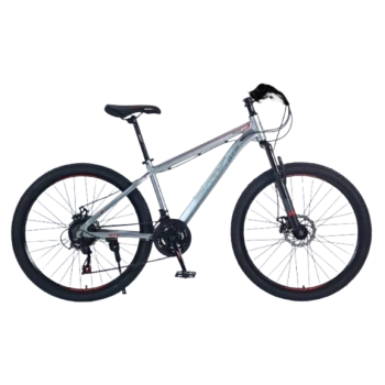 BICYCLETTE ENFANT JAD59-5 24'' AVEC DEUX ROUES STABILISATRICE ARGENT